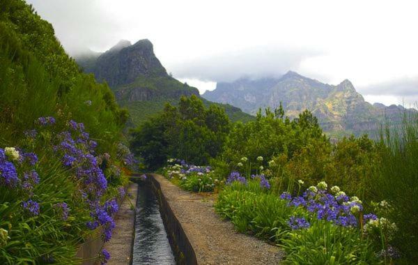 Machico Nature Εξωτερικό φωτογραφία